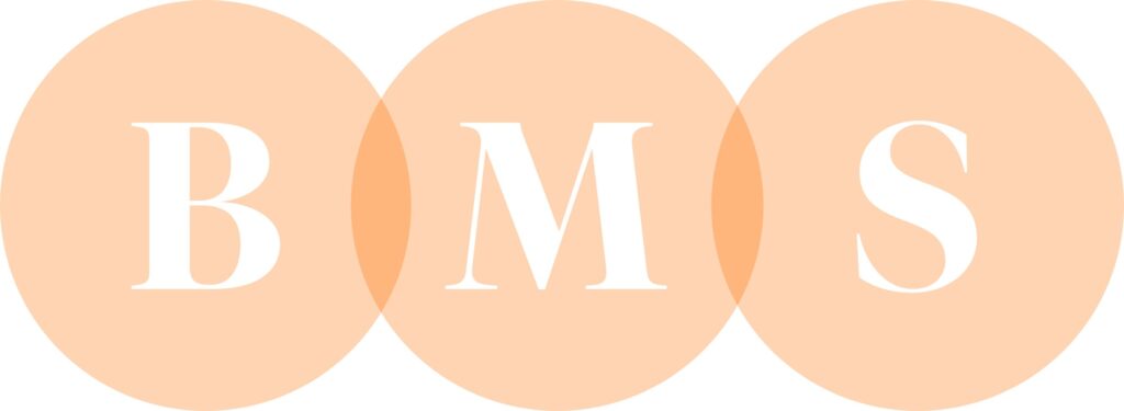 Het BMS-principe: Bedrijf, Mens en Stakeholder